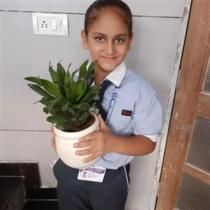 Environment Sensitization Campaign (By CBSE)