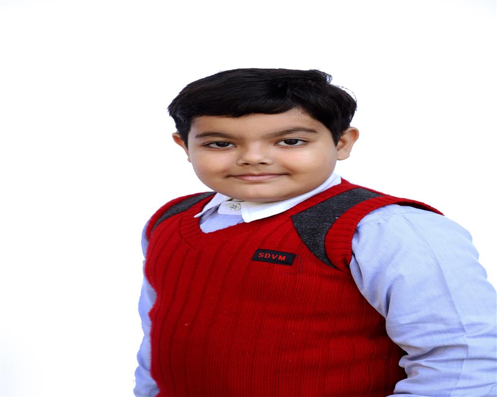 SDVM City School Panipat sdvm-city-school-panipat